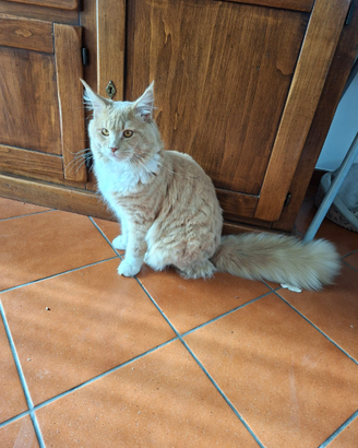Fidanzatina per Axel
