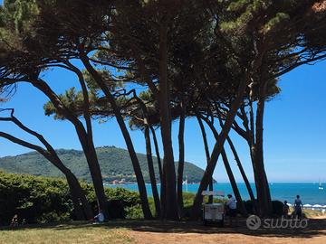 6/9-13/9 Populonia BARATTI appartam 3 cam 2 bagni