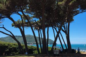 Populonia BARATTI appartamento 3 camere 2 bagni