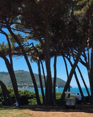 Populonia BARATTI appartamento 3 camere 2 bagni