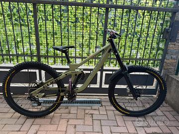Bicicletta Downhill