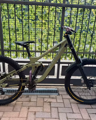 Bicicletta Downhill