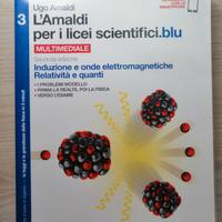 L'Amaldi 3