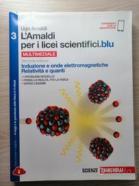 L'Amaldi 3