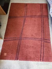 Tappeto usato anche per animali domestici.