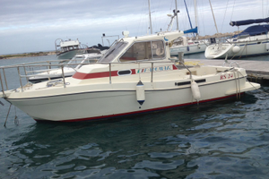 Barca Palomar Rs 24