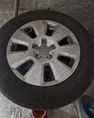 cerchi audi