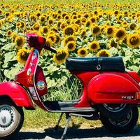 Vespa px 125 arcobaleno del 1985