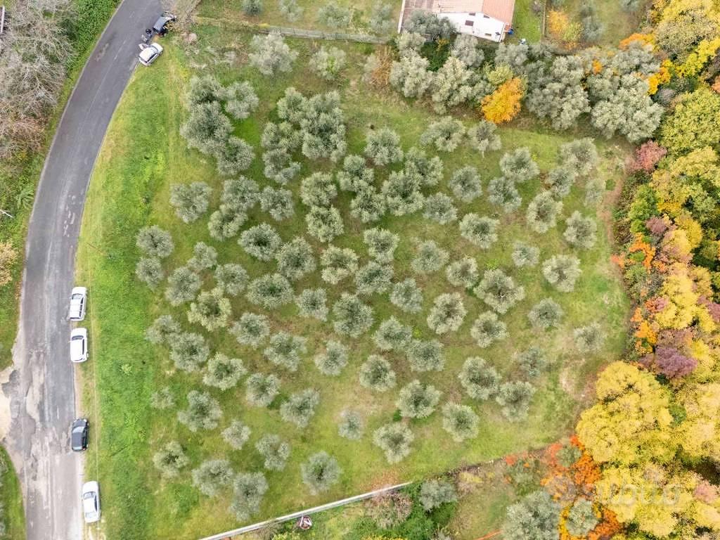 Terreno di 4160 m² a Poggio Nativo - Vista 2