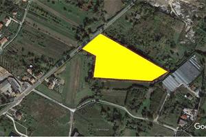Terreno di 33000 m² a Spigno Saturnia