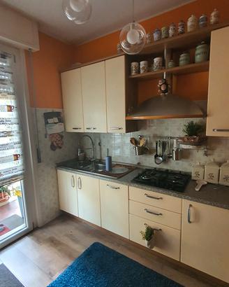 cucina dotata con elettrodomestici 