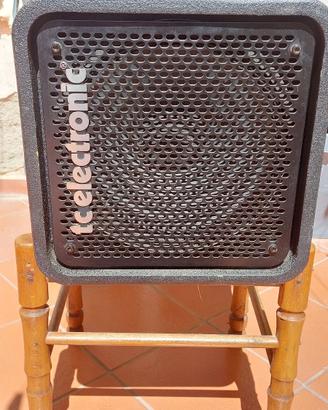 TC Electronic RS112, cassa 1x12" per basso.