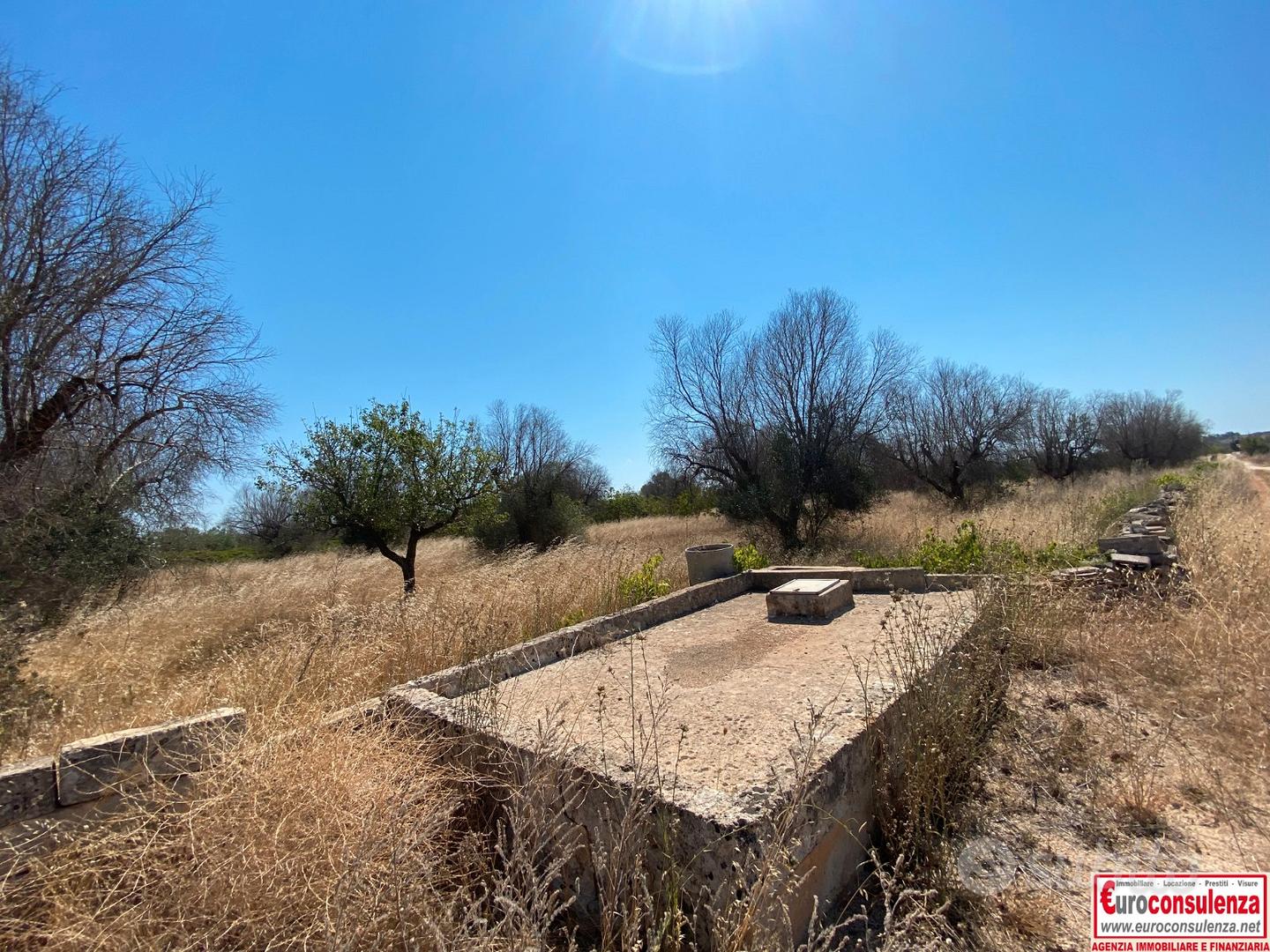 Terreno agricolo con cisterna ad Ugento - Vista 5