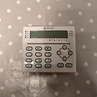 T White bentel, absoluta, kyo