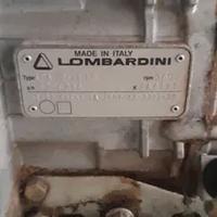 alimentatore benzina Lombardini 