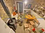 Immagine 11