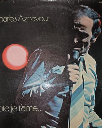 Vinile