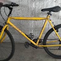 BICICLETTA 26 