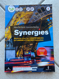 Synergie 2