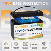 Batteria Litio 100aH 12V LiFePo4