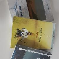 esperienze di cammini