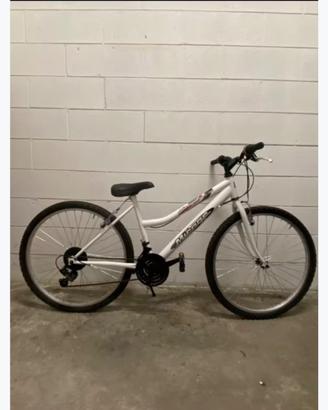 Bici shimano