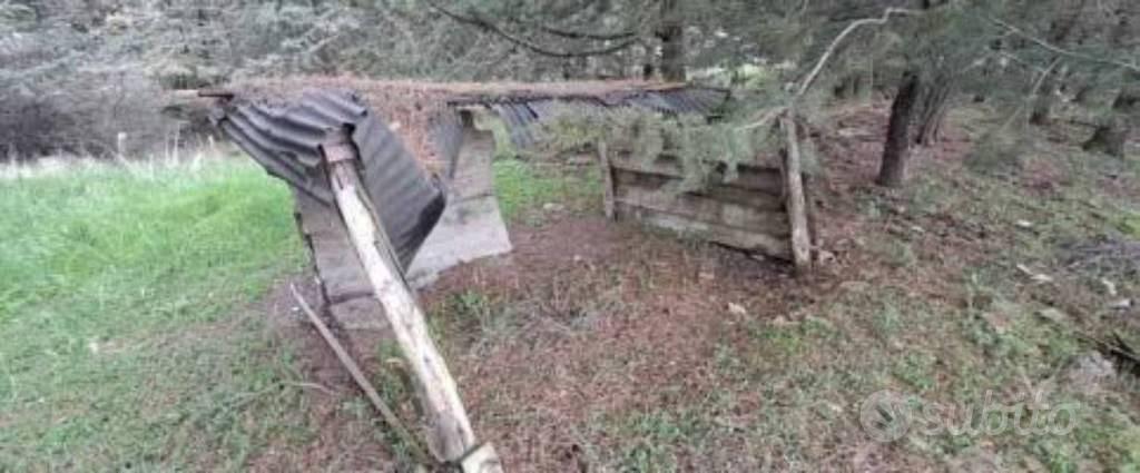 Immobile in asta di 333270 m² a Piancastagnaio - Vista 5