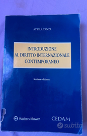 Libro Introduzione al diritto internazionale conte