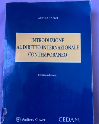 Libro Introduzione al diritto internazionale conte