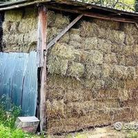 Fieno di Prato naturale