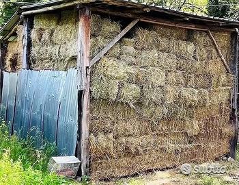 Fieno di Prato naturale