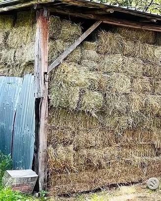 Fieno di Prato naturale
