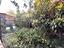 Immagine 27
