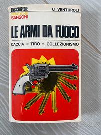 Le Armi da Fuoco