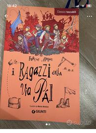 Libro i ragazzi della via Pal