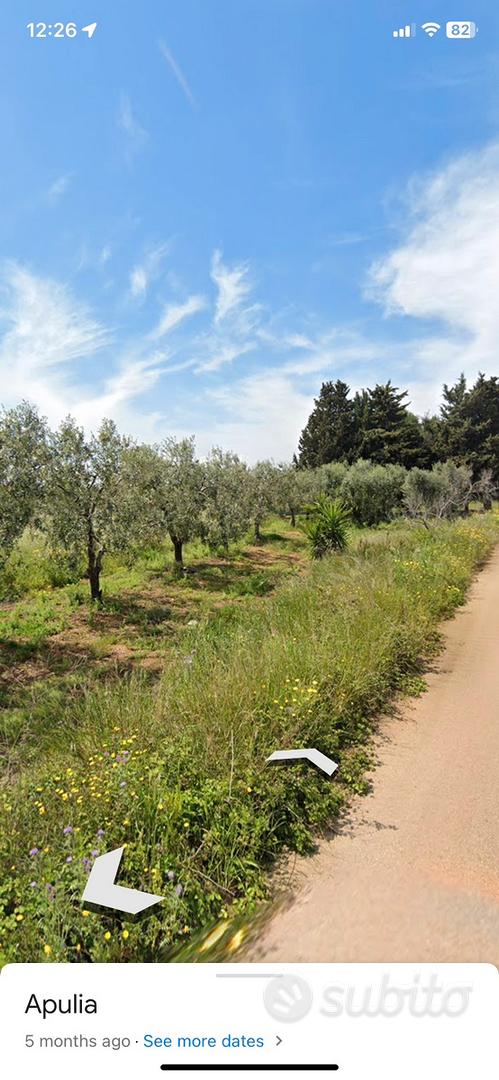 Contrada Sant'Egidio - terreno agricolo - Vista 5