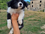 Immagine 13