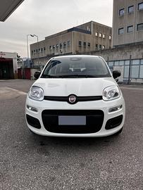 FIAT Panda 1.0 FireFly 70cv S&S Hyb