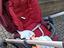 Immagine 6