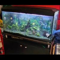 Terrario o acquario cayman 110