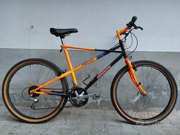 Bianchi Ragno Pholcus 54
