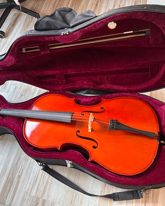 Violoncello 4/4 Student Plus con custodia rigida