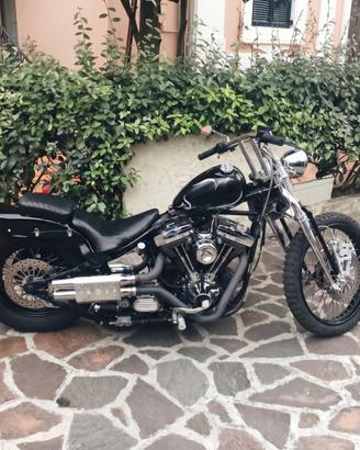 Harley-Davidson Softail Springer 1340 custom color