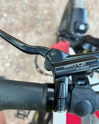 Bicicletta elletrica