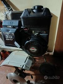 Motozzapa Briggs straton 5,5 cv