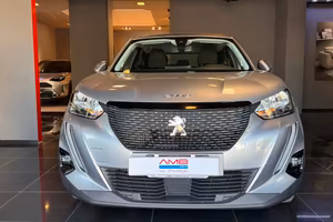 Peugeot 2008 PureTech 100 S&S Active