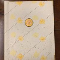 Album raccoglitore foto nuovo