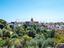 Immagine 22
