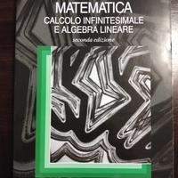 Matematica calcolo infinitesimale e algebra linear