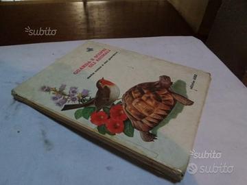 Guarda e scopri gli animali - AMZ 1977